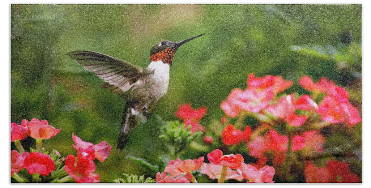 Hummingbird Beach Towel featuring the photograph Graceful Garden Jewel by Christina Rollo