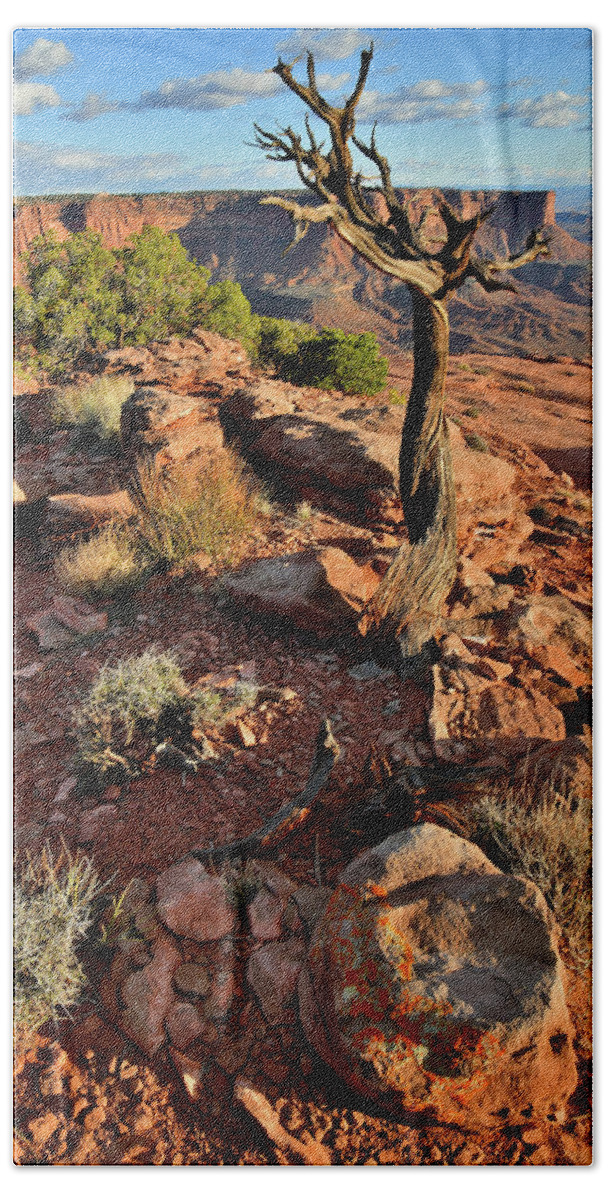 Canyonlands National Park Beach Towel featuring the photograph Grand View Point from Green River Overlook by Ray Mathis