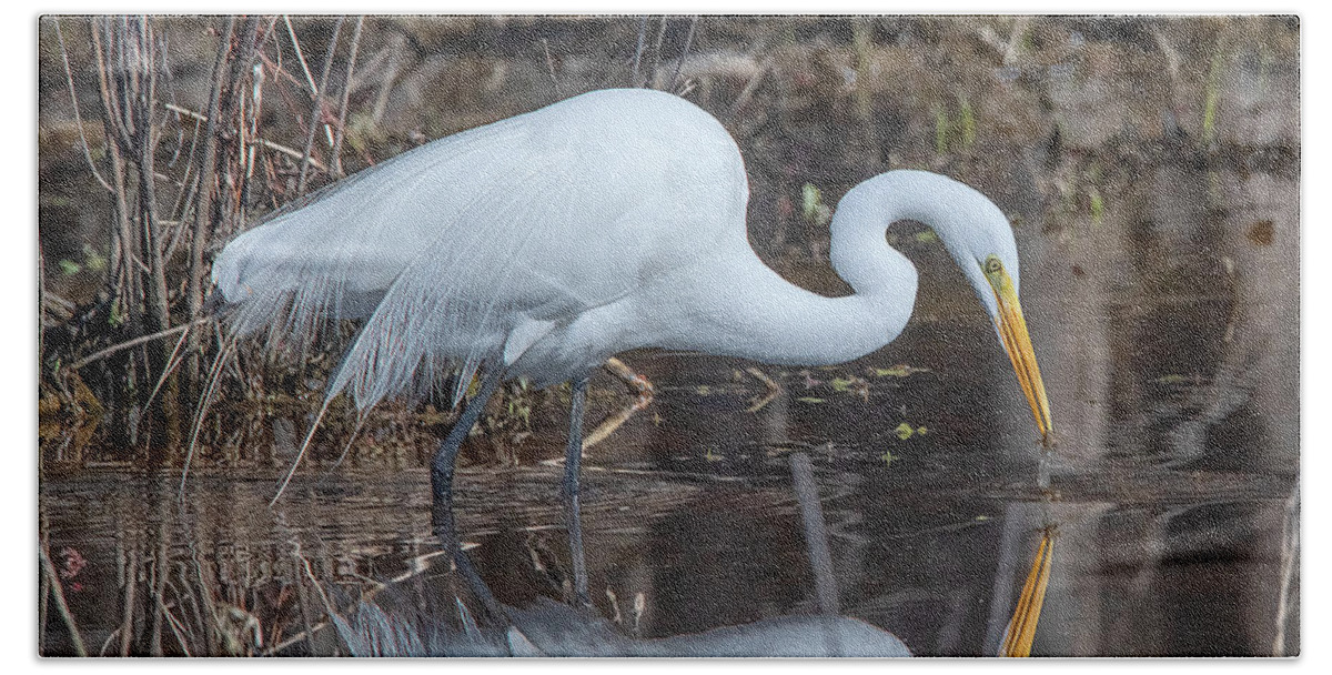 Nature Beach Towel featuring the photograph Great Egret in Breeding Plumage DMSB0154 by Gerry Gantt
