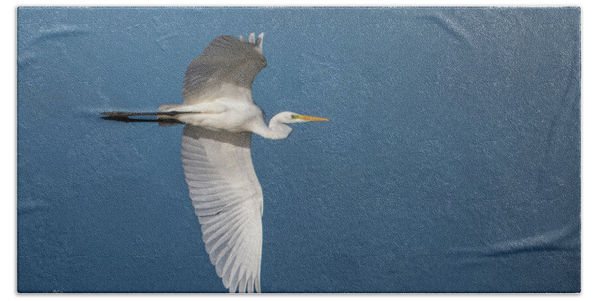 Great Egret Beach Towel featuring the photograph Great Egret's flight by Torbjorn Swenelius