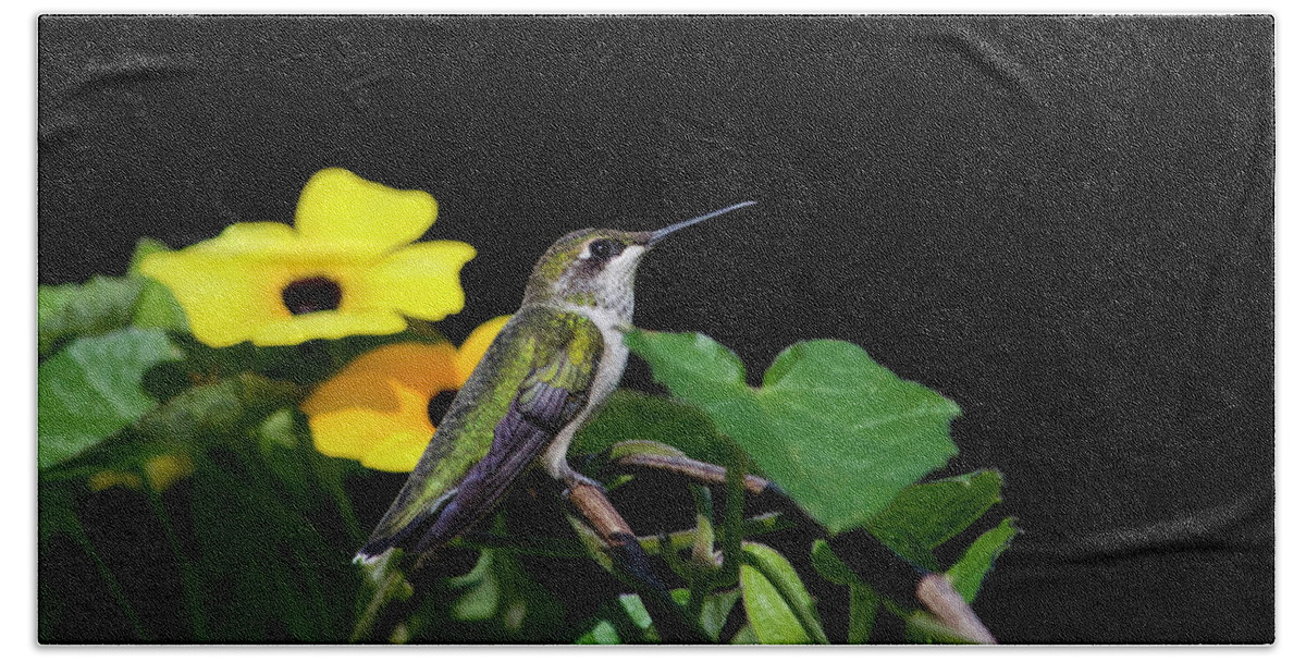 Hummingbird Beach Sheet featuring the photograph Green Garden Jewel by Christina Rollo
