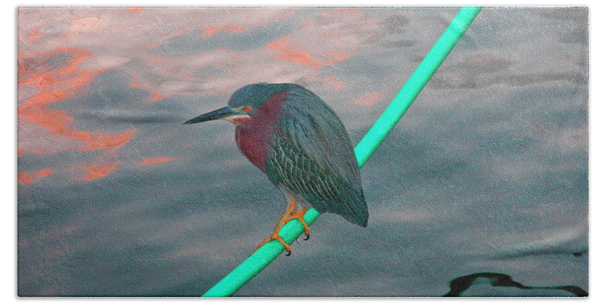 Fauna Beach Towel featuring the photograph Green Heron at Sunset by Mariarosa Rockefeller
