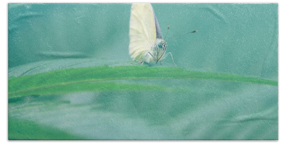 Butterfly Beach Towel featuring the photograph Green Morning by Jaroslav Buna