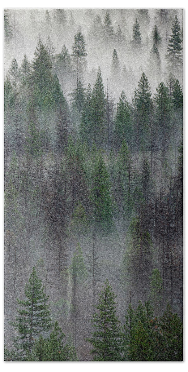 Forest Beach Towel featuring the photograph Green Yosemite by Jon Glaser