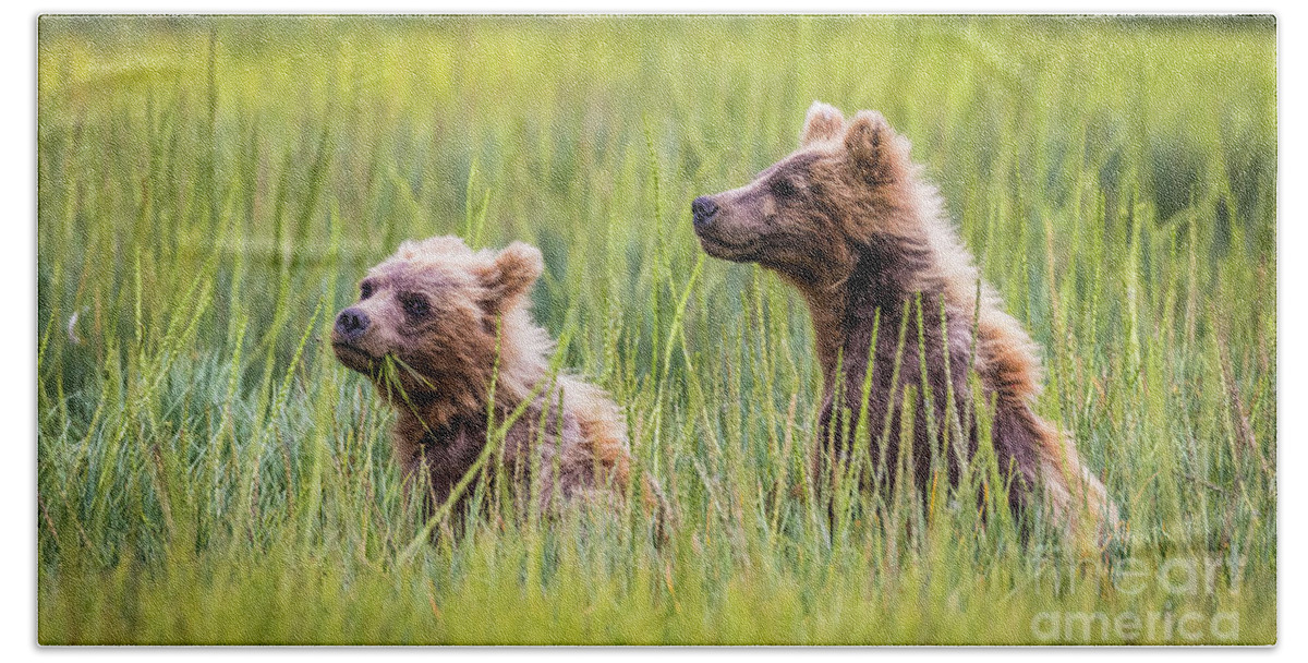 Grizzly Beach Towel featuring the photograph Grizzly cubs by Lyl Dil Creations