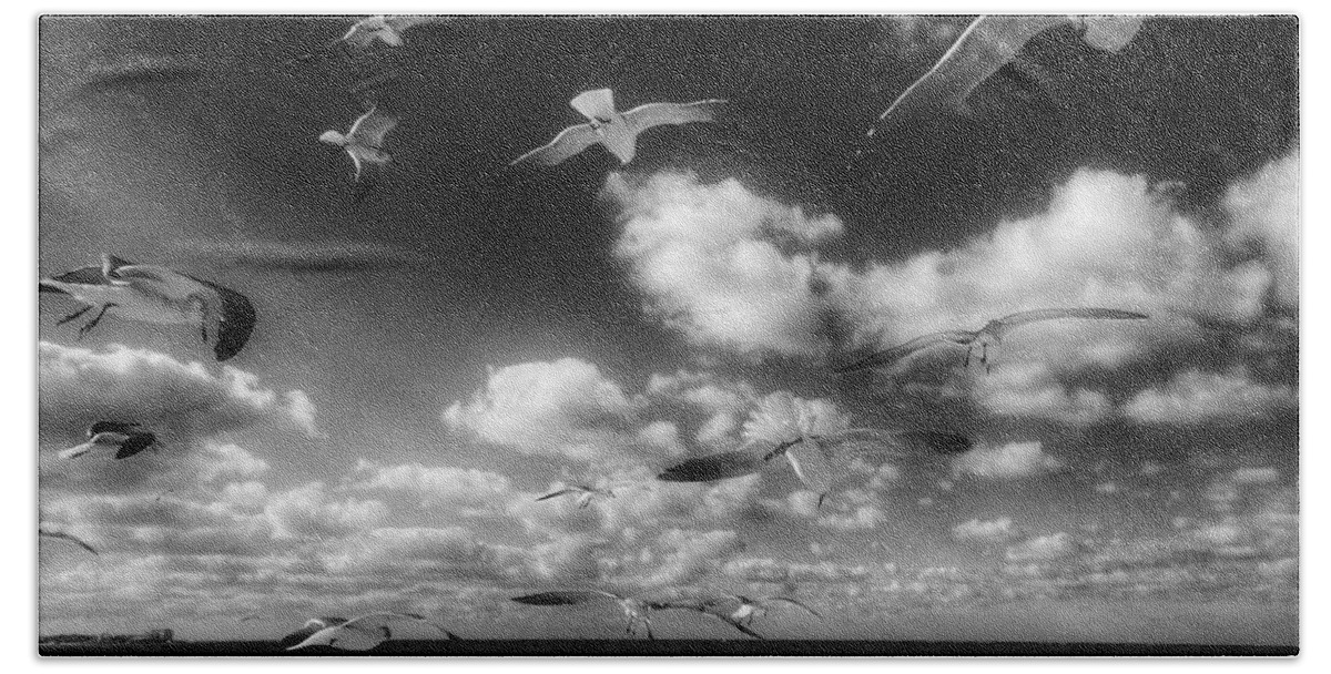 Photography Beach Towel featuring the photograph Gulls by Jeffrey PERKINS