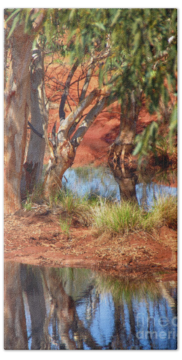 Gum Tree Reflection Beach Towel featuring the photograph Gum Tree Reflection by Douglas Barnard