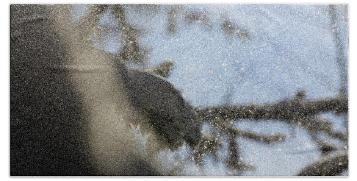 Abstract Beach Towel featuring the photograph Gusts of snow are being blown from spruce trees by Intensivelight