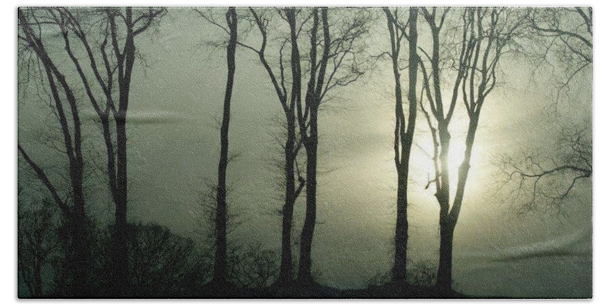  Beach Towel featuring the photograph Hallow Night by Lindsey Floyd