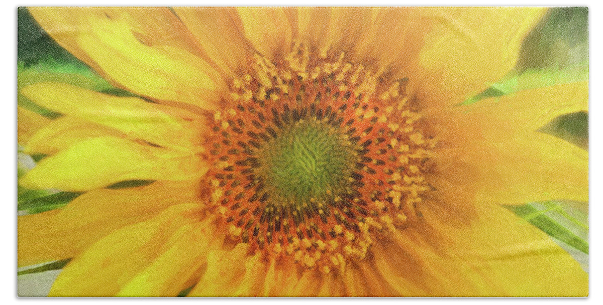Sunflower Beach Sheet featuring the photograph Hannahs Sunflower 002 by Rich Franco