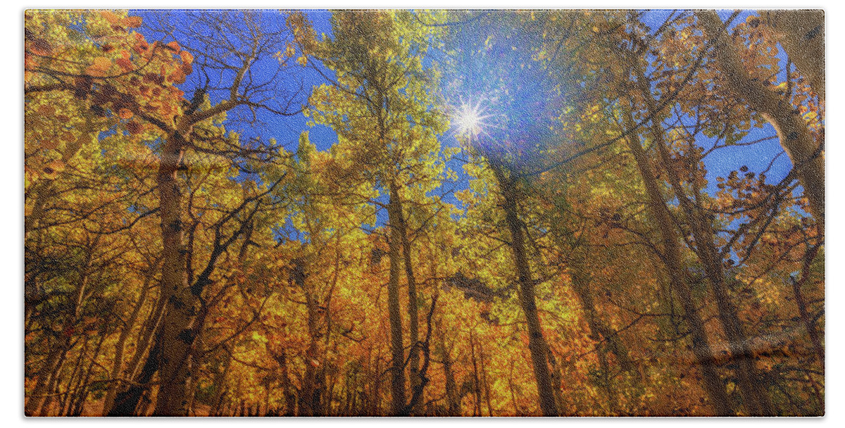 Fall Colors Beach Sheet featuring the photograph Happy Fall by Tassanee Angiolillo