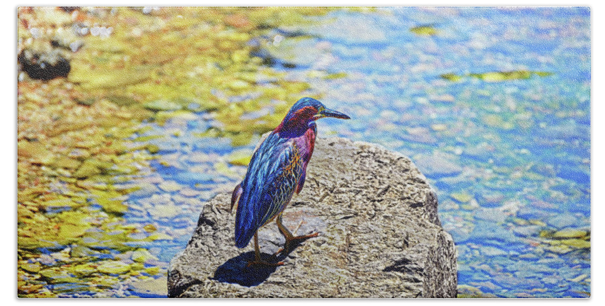 Green Heron Beach Towel featuring the photograph Heron bluff by Climate Change VI - Sales