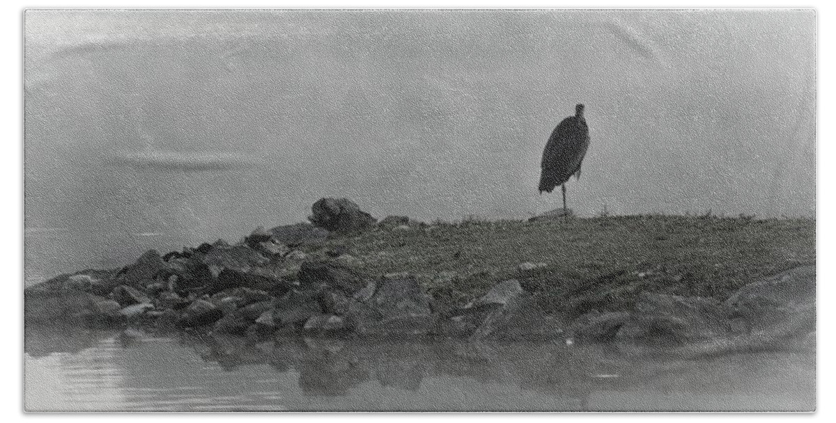 Wildlife Beach Towel featuring the photograph Heron In The Mist by John Benedict