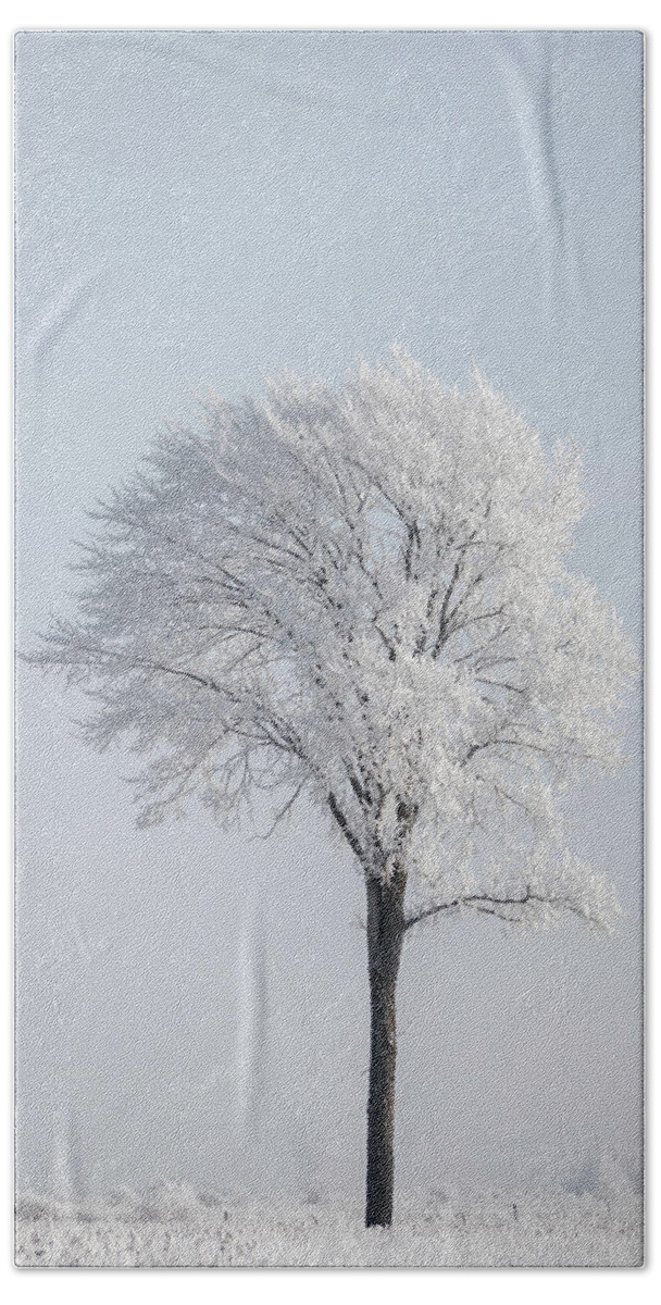 Hoar Frost Beach Towel featuring the photograph Hoar Frost at BVG 2018-8 by Thomas Young