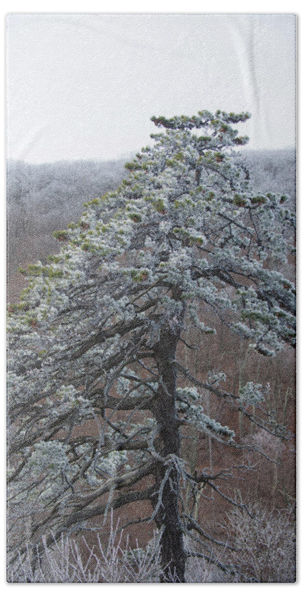 Blue Ridge Beach Sheet featuring the photograph Hoarfrost Gathers by Mark Duehmig