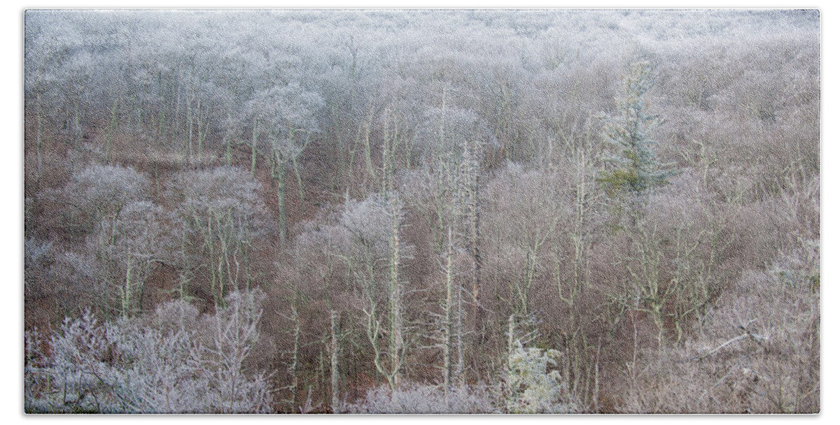 Blue Ridge Beach Sheet featuring the photograph Hoarfrost in the Tree Tops by Mark Duehmig