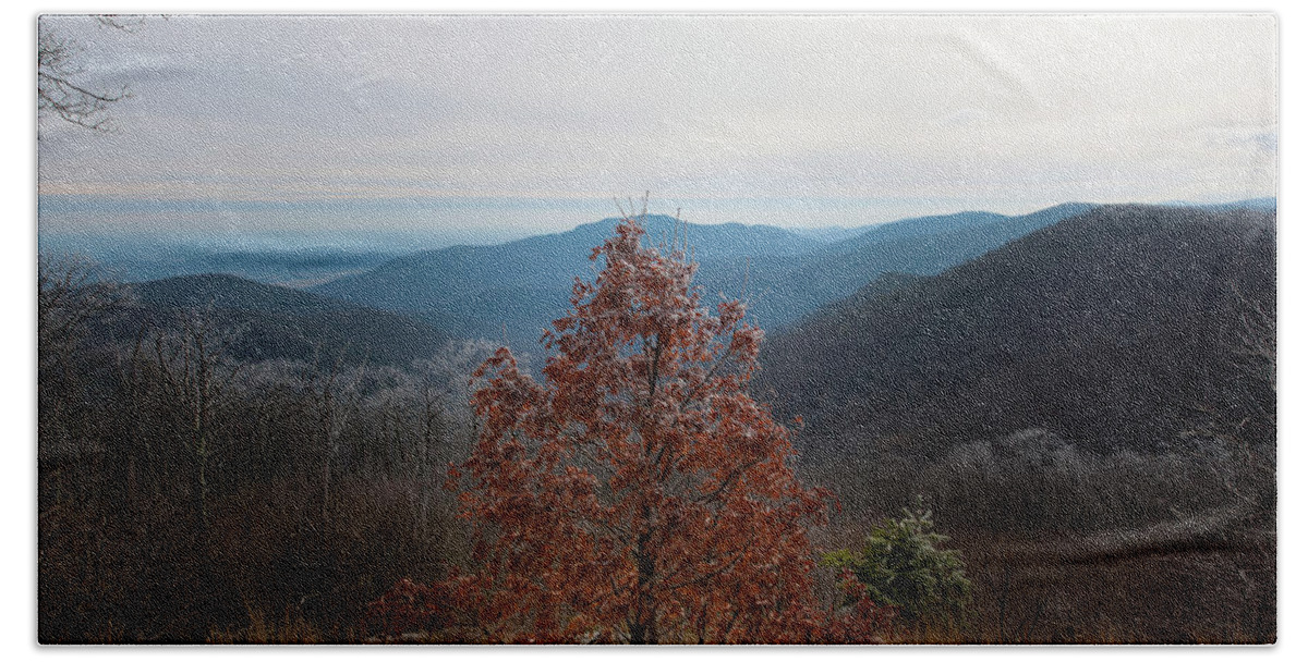 Blue Ridge Beach Towel featuring the photograph Hoarfrost on Fall Leaves by Mark Duehmig