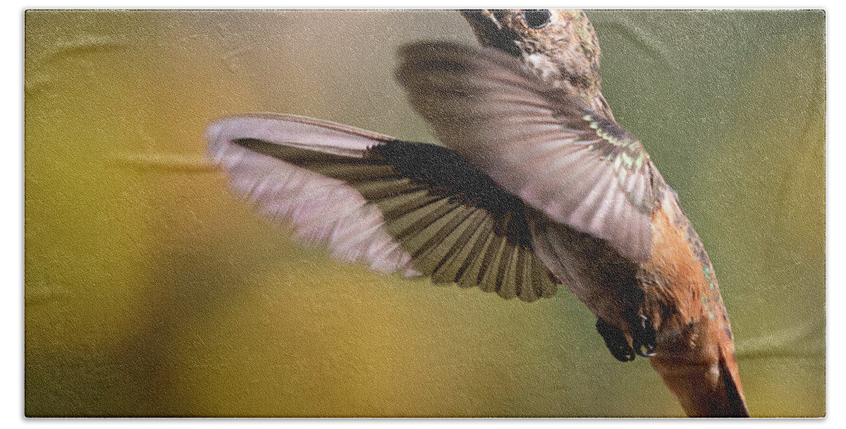 Hummer Beach Towel featuring the photograph Hummer 4 by Endre Balogh