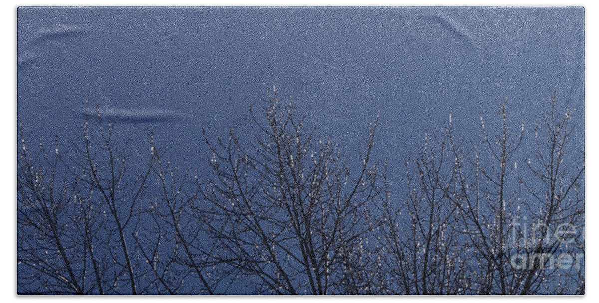 Nature Beach Towel featuring the photograph Ice Tree by Robert E Alter Reflections of Infinity