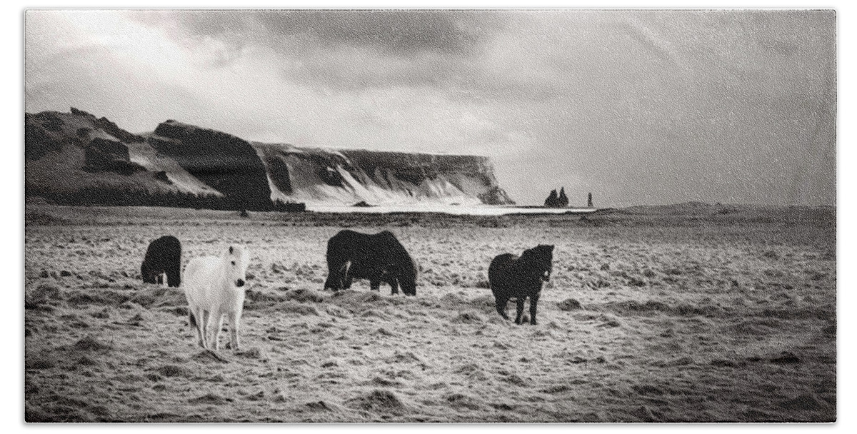 Iceland Beach Sheet featuring the photograph Icelandic Horses by Kathryn McBride