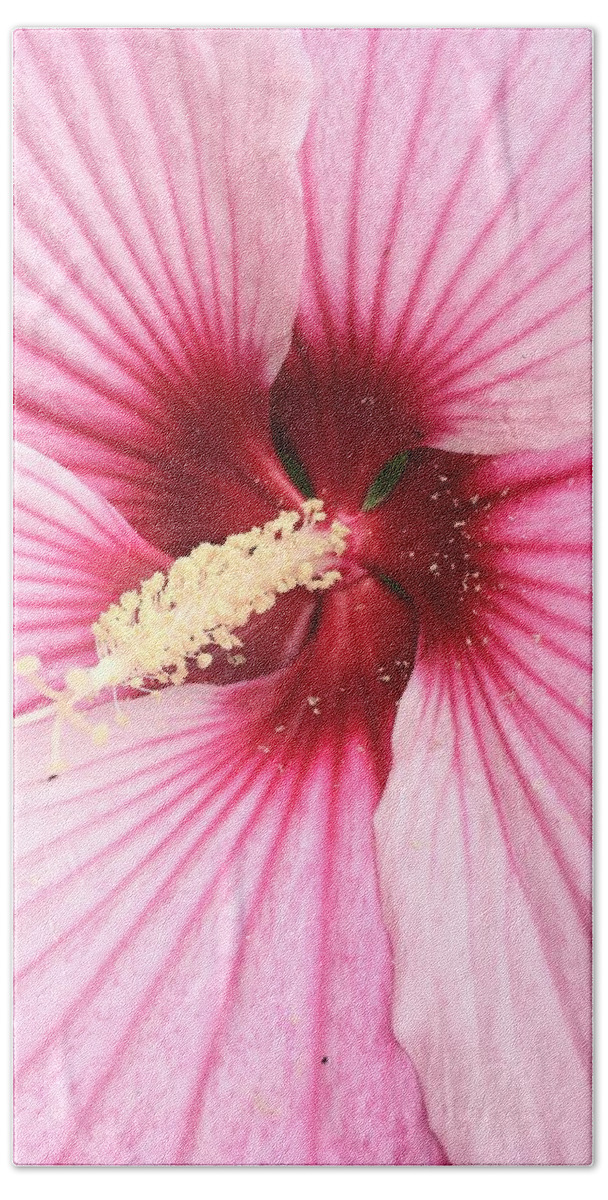 Hibiscus Beach Towel featuring the photograph In Depth by Anjel B Hartwell