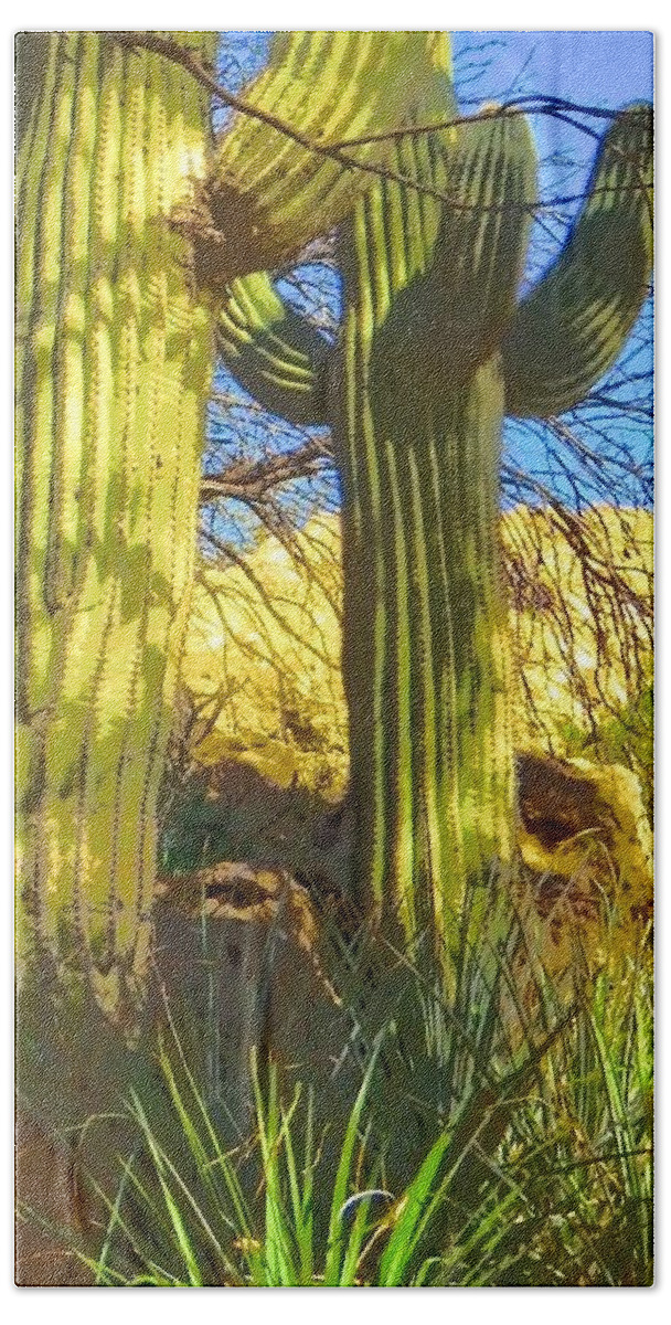 Arboretum Beach Towel featuring the photograph In the Shadow of Saguaros by Judy Kennedy