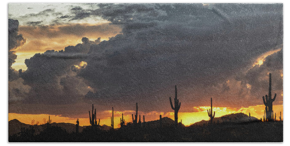 Saguaro Sunset Beach Towel featuring the photograph In The Shadow Of The Desert by Saija Lehtonen