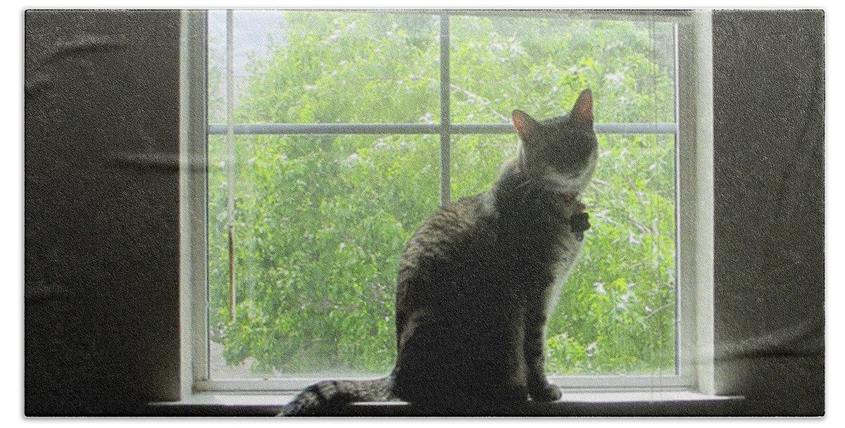 Cat In The Window Beach Towel featuring the photograph Independence by David Zimmerman
