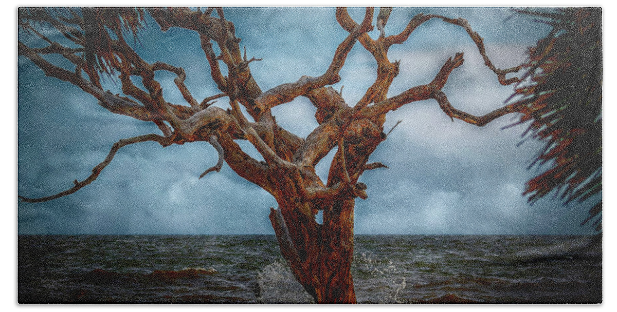 Seascapes Beach Towel featuring the photograph Jekyll's Driftwood Beach at High Tide by DB Hayes