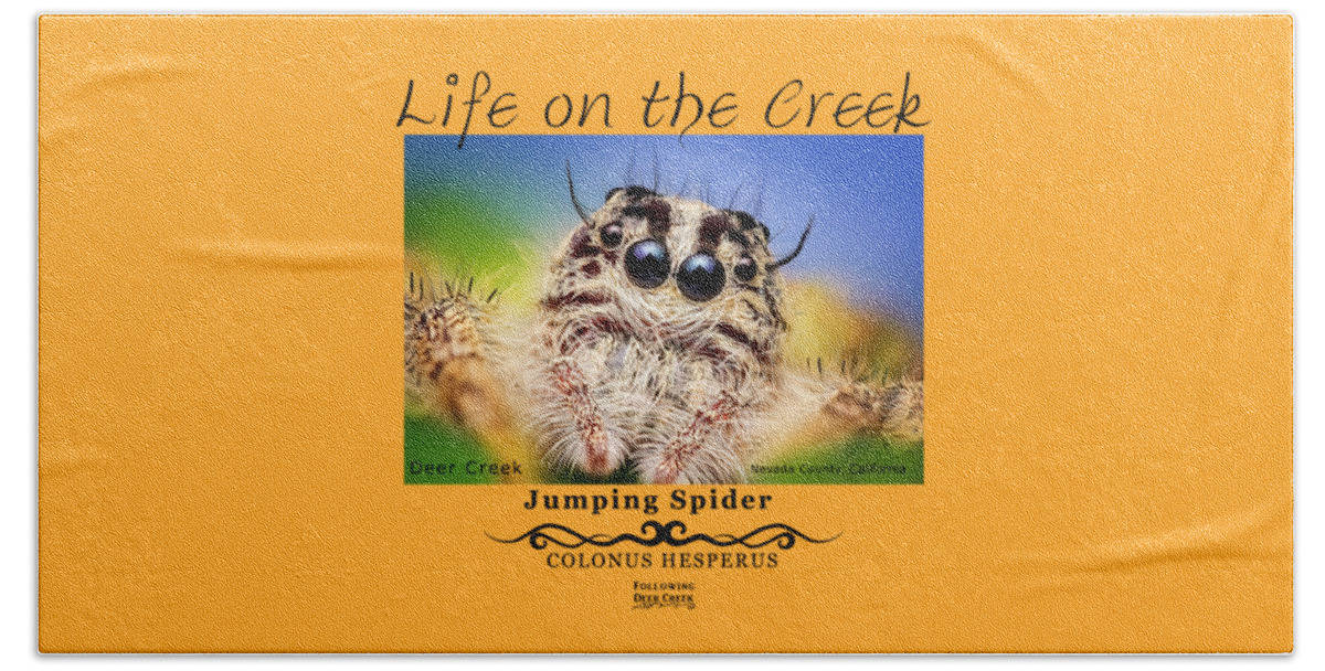 Spider Beach Towel featuring the digital art Jumping Spider Colonus Hesperus by Lisa Redfern