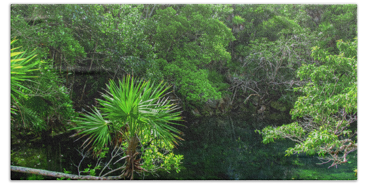Jungle Beach Towel featuring the photograph Jungle of Xel-Ha by Sun Travels