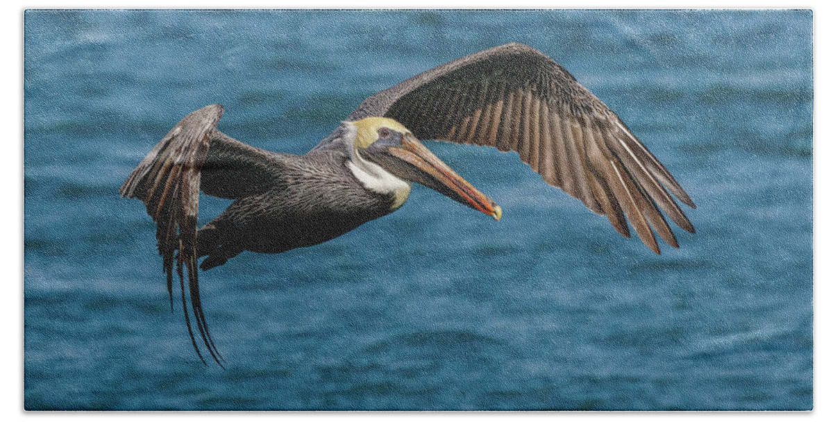Pelican Beach Towel featuring the photograph Just Cruising by Les Greenwood