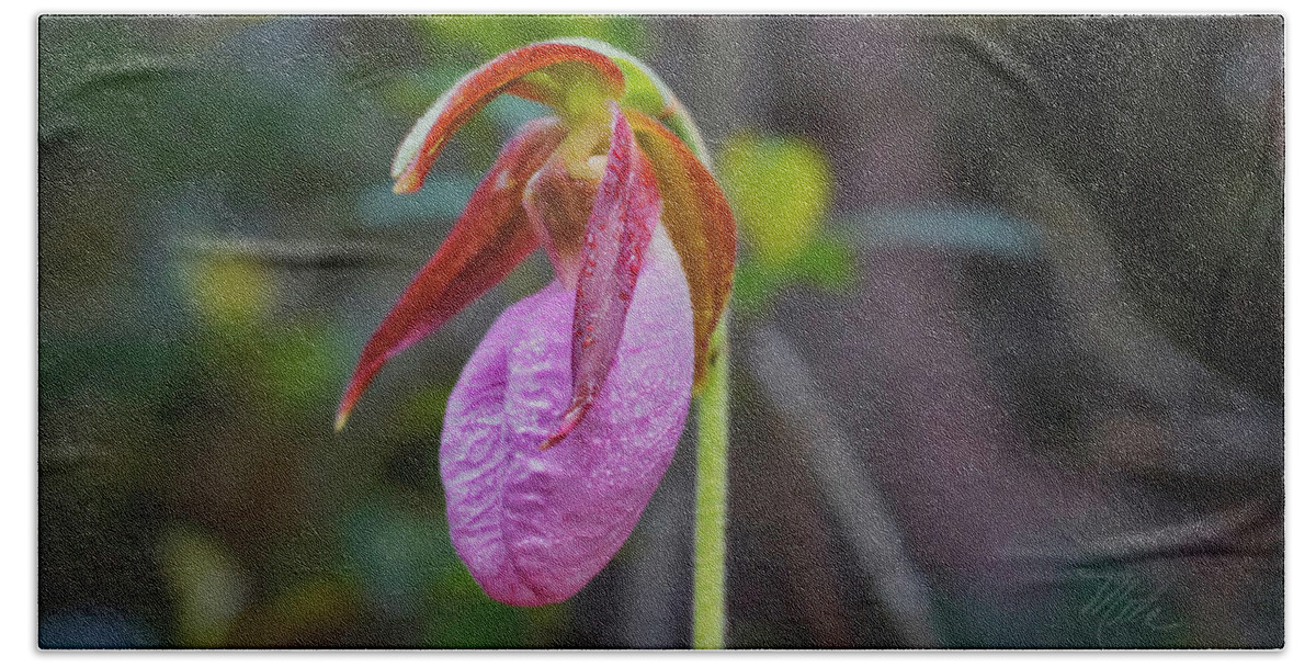 Macro Photography Beach Towel featuring the photograph Lady Slipper Orchid by Meta Gatschenberger