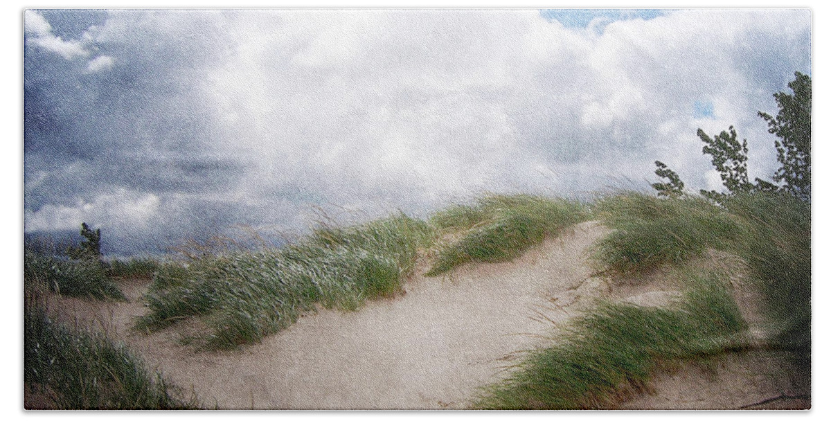 Holland Beach Towel featuring the photograph Lake Michigan Sand Dunes by Phil Perkins