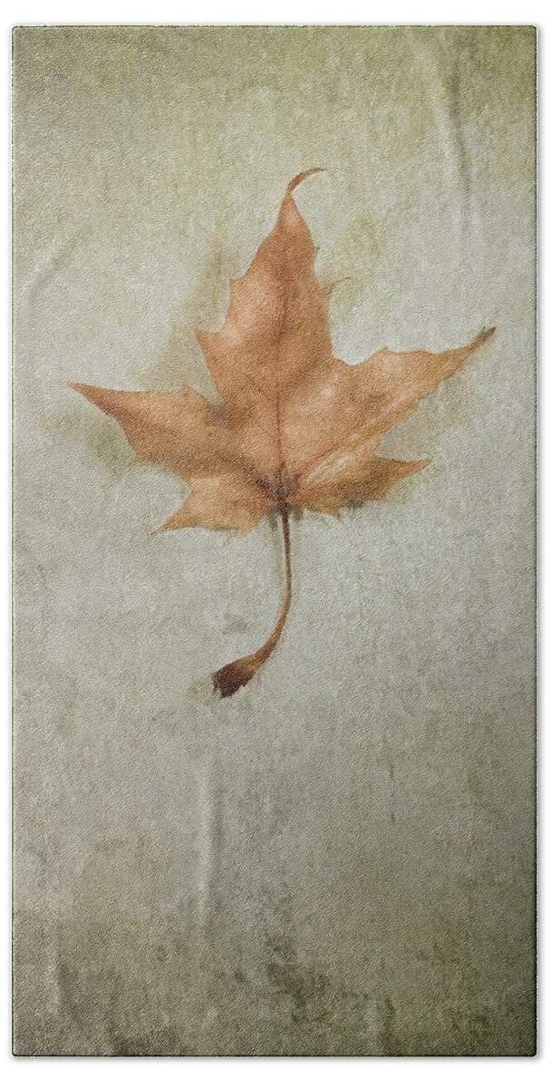 Leaf Beach Towel featuring the photograph Last Days by Scott Norris