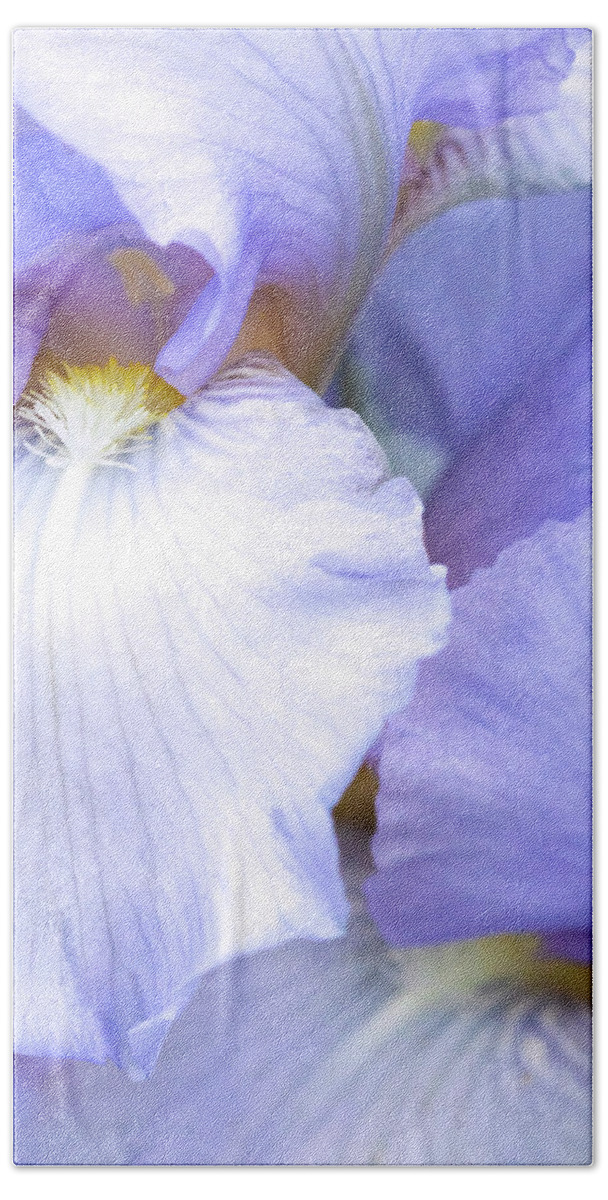 Lavender Dream Beach Towel featuring the photograph Lavender Dream by Patty Colabuono