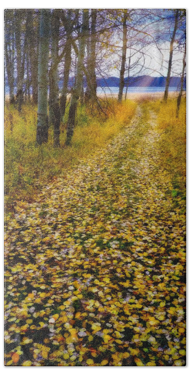 Fall Beach Sheet featuring the photograph Leaves On Trail by Tom Gresham