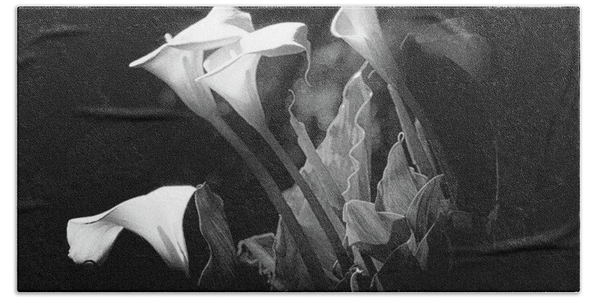 Flower Fine Art Beach Sheet featuring the photograph Lilies of Light by Francine Collier