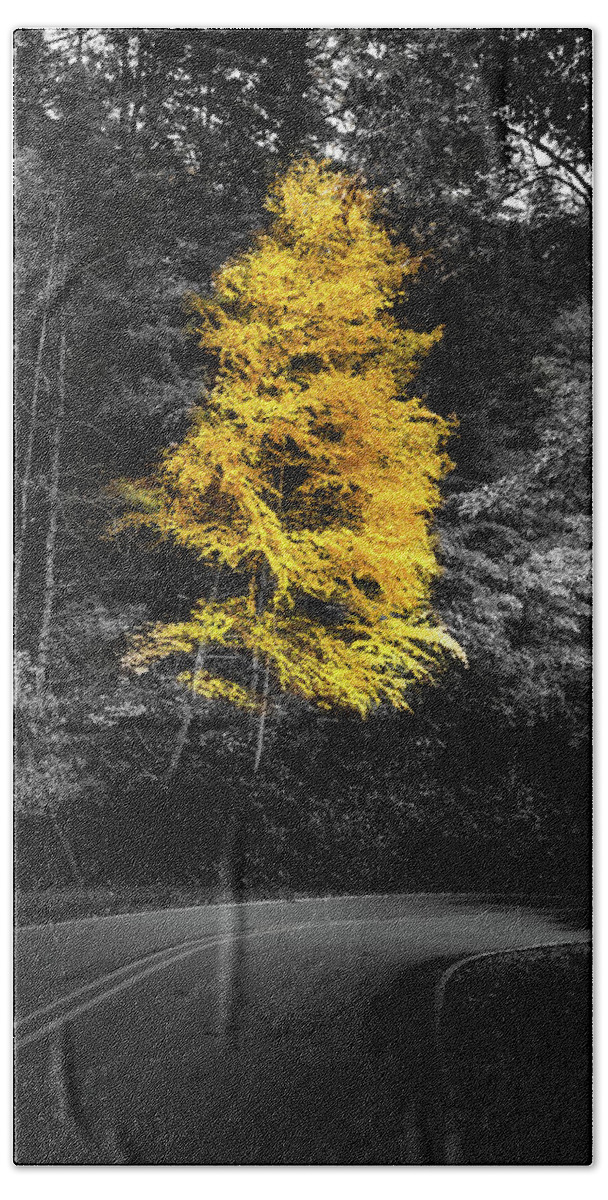 Cherokee County Beach Towel featuring the photograph Lone Yellow Tree In The Curve by Greg and Chrystal Mimbs