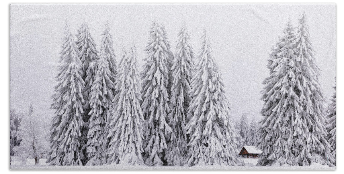 Chalet Beach Towel featuring the photograph Lost in Winter by Dominique Dubied