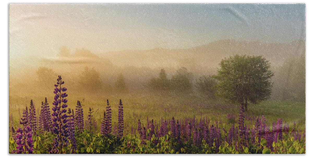 Amazing New England Artworks Beach Towel featuring the photograph Lupine In The Fog, Sugar Hill, NH by Jeff Sinon