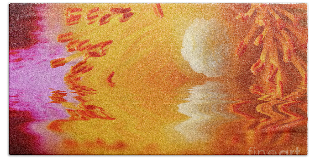Cistus Beach Towel featuring the photograph Macro Cistus flower stamen in water by Simon Bratt