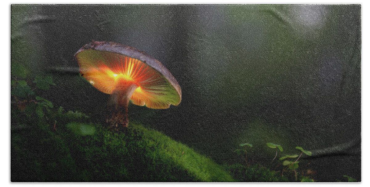 Lightpaitn Beach Towel featuring the photograph Magical mushroom glowing in the dark autumn forest by Dirk Ercken