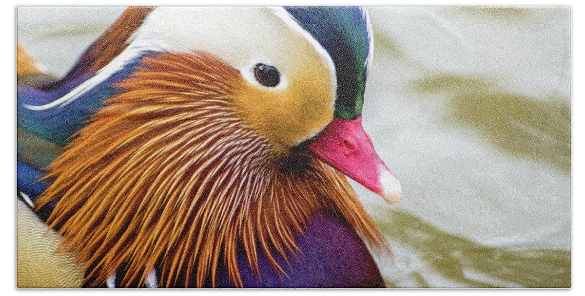 Mandarin Ducks Beach Sheet featuring the photograph Mandarin Duck Portrait by Judi Dressler
