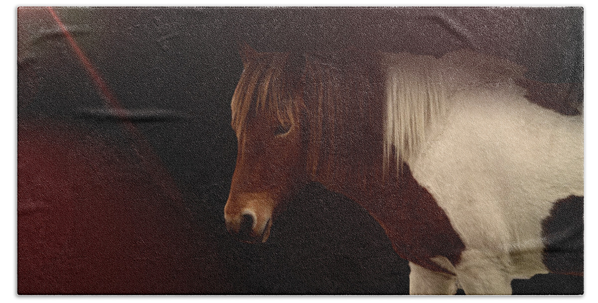 Horse Beach Towel featuring the photograph Mane Event by Alison Frank