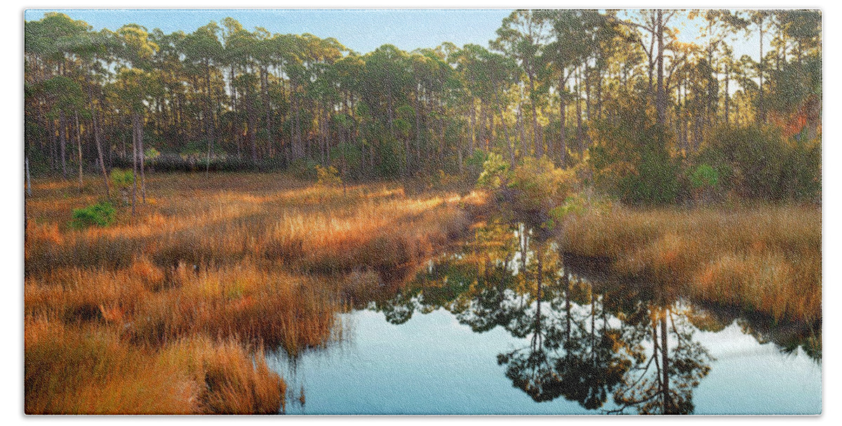 00546376 Beach Towel featuring the photograph Marsh And Trees At Sunrise, Saint Joseph Peninsula, Florida by Tim Fitzharris