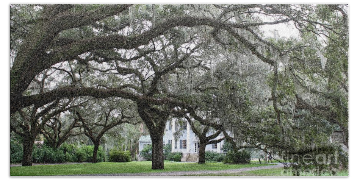 Mcleod Beach Towel featuring the photograph McLeod Plantation by Flavia Westerwelle