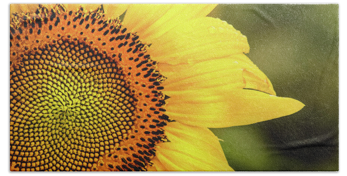 Flower Beach Towel featuring the photograph MD Sunflower by Don Johnson