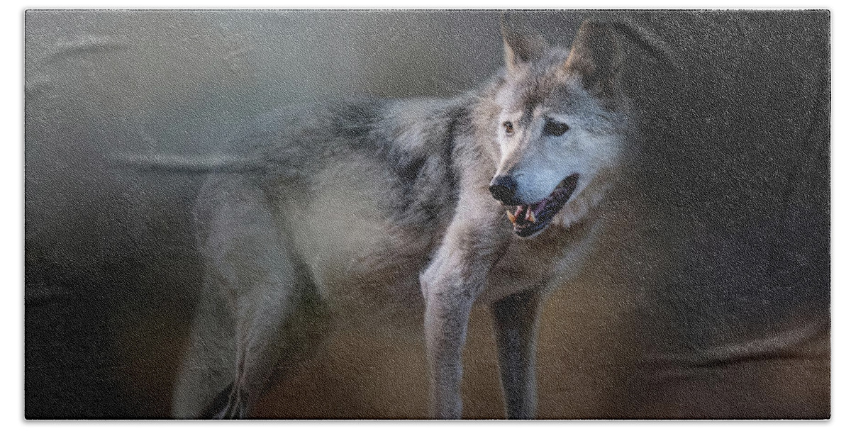 Cincinnati Zoo Beach Towel featuring the photograph Mexican Wolf by Ed Taylor