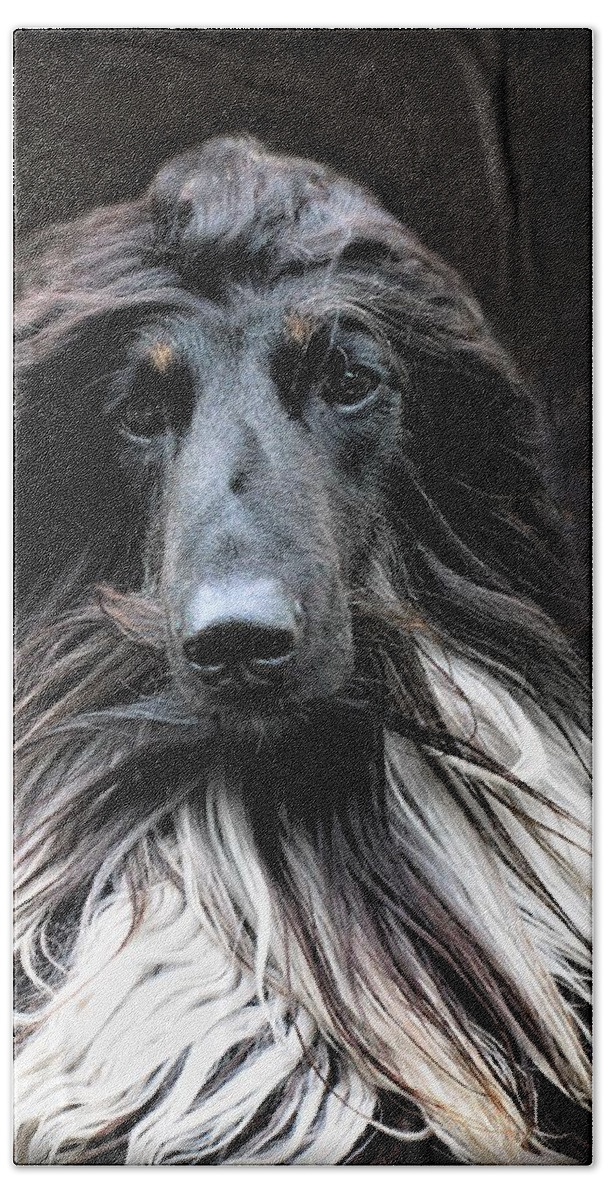 Afghan Hound Beach Towel featuring the photograph Midnight Jazz by Diane Chandler